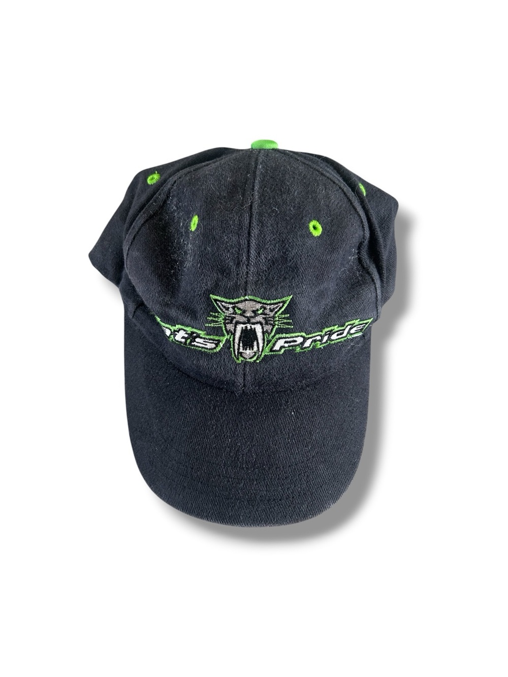 [Arctic Cat] VTG 2005 Y2K Hat